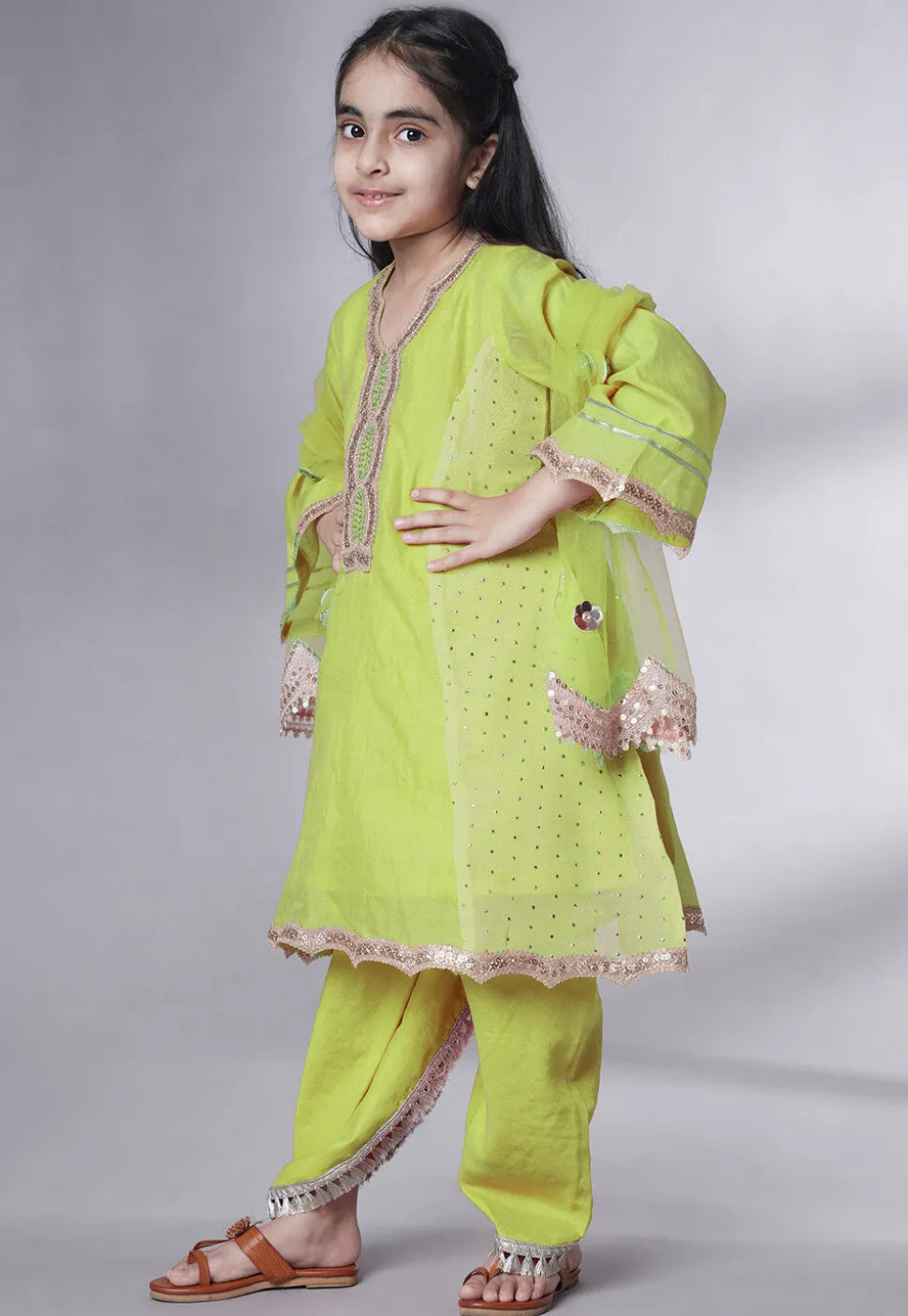 Embroidered Chanderi Silk Punjabi Suit in Light Green