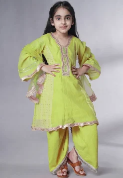 Embroidered Chanderi Silk Punjabi Suit in Light Green