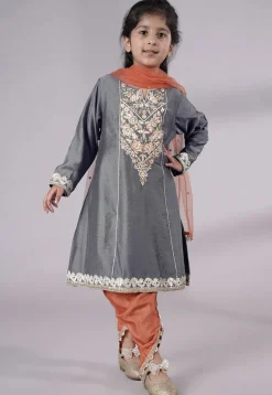 Embroidered Chanderi Silk Punjabi Suit in Grey