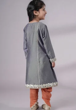 Embroidered Chanderi Silk Punjabi Suit in Grey