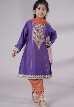 Embroidered Chanderi Silk Punjabi Suit in Purple
