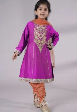 Embroidered Chanderi Silk Punjabi Suit in Magenta