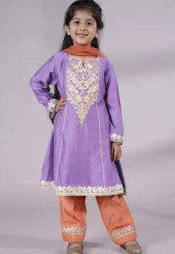 Embroidered Chanderi Silk Punjabi Suit in Light Purple