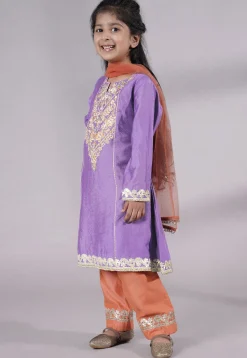 Embroidered Chanderi Silk Punjabi Suit in Light Purple