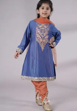 Embroidered Chanderi Silk Punjabi Suit in Blue