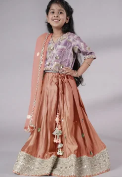 Embroidered Chanderi Silk Lehenga in Peach