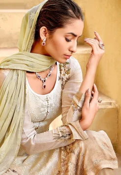 Embroidered Chinon Chiffon Pakistani Suit in Beige