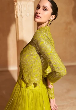 Embroidered Chinon Silk Lehenga in Light Green