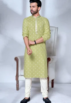 Embroidered Cotton Kurta Set in Light Green