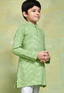 Embroidered Cotton Kurta in Light Green