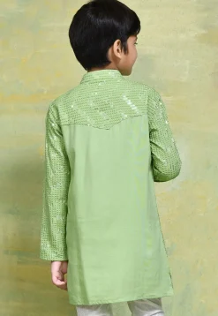 Embroidered Cotton Kurta in Light Green