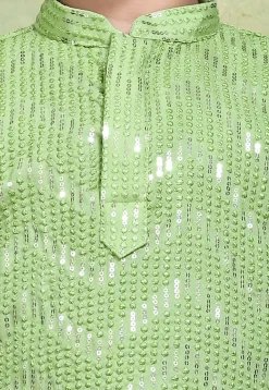 Embroidered Cotton Kurta in Light Green