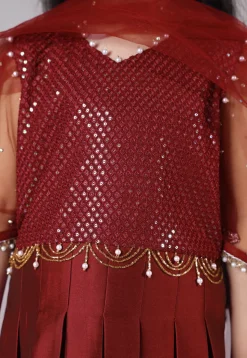Embroidered Cotton Silk A Line Suit in Maroon