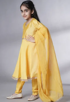 Embroidered Cotton Silk A Line Suit in Yellow