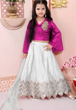 Embroidered Cotton Silk Lehenga in Off White