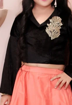 Embroidered Cotton Silk Lehenga in Peach