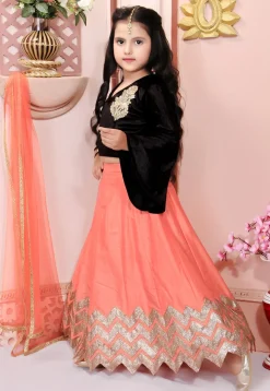 Embroidered Cotton Silk Lehenga in Peach
