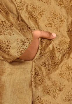 Embroidered Dupion Silk Kurta in Dark Beige