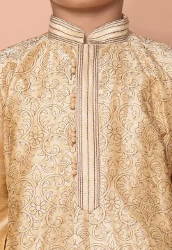 Embroidered Dupion Silk Kurta Set in Fawn