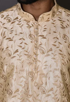 Embroidered Dupion Silk Kurta Set in Beige