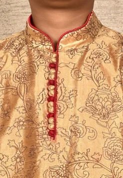 Embroidered Dupion Silk Kurta Set in Dark Beige