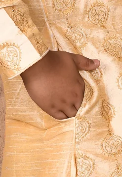 Embroidered Dupion Silk Kurta in Light Beige