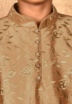 Embroidered Dupion Silk Kurta Set in Dark Beige