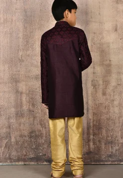 Embroidered Dupion Silk Kurta Set in Wine
