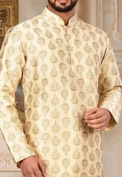 Embroidered Dupion Silk Kurta in Light Beige