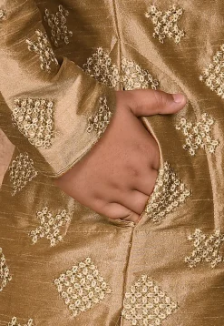 Embroidered Dupion Silk Sherwani in Dark Beige