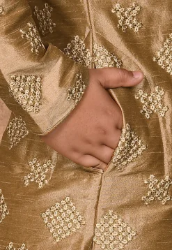 Embroidered Dupion Silk Sherwani in Beige