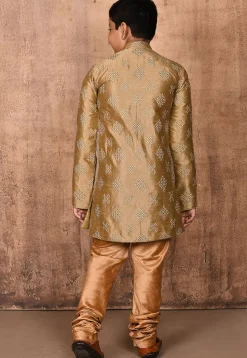 Embroidered Dupion Silk Sherwani in Beige