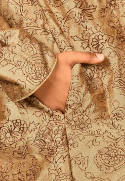 Embroidered Dupion Silk Sherwani in Dark Beige