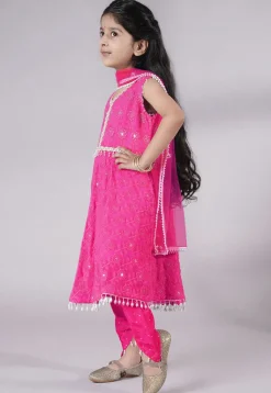 Embroidered Georgette A Line Suit in Pink