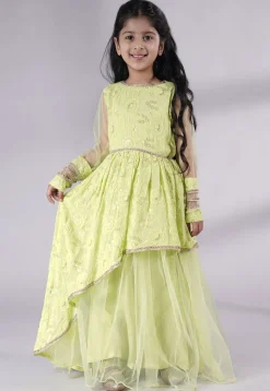 Embroidered Georgette and Net Abaya Style Suit in Light Green