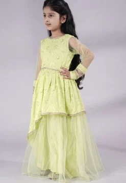 Embroidered Georgette and Net Abaya Style Suit in Light Green