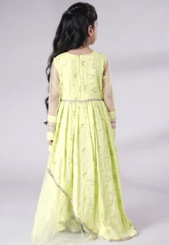 Embroidered Georgette and Net Abaya Style Suit in Light Green