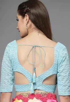 Embroidered Georgette Back Cut Out Blouse in Sky Blue