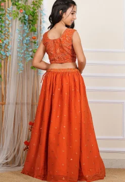 Embroidered Georgette Choli in Orange