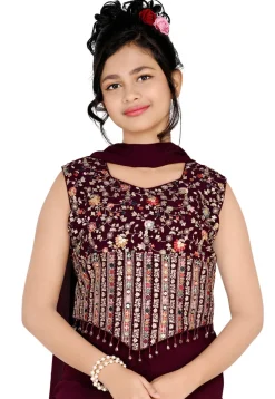 Embroidered Georgette Crop Top Set in Wine