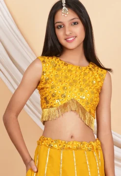 Embroidered Georgette Crop Top Set in Mustard