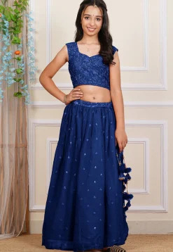 Embroidered Georgette Crop Top Set in Royal Blue