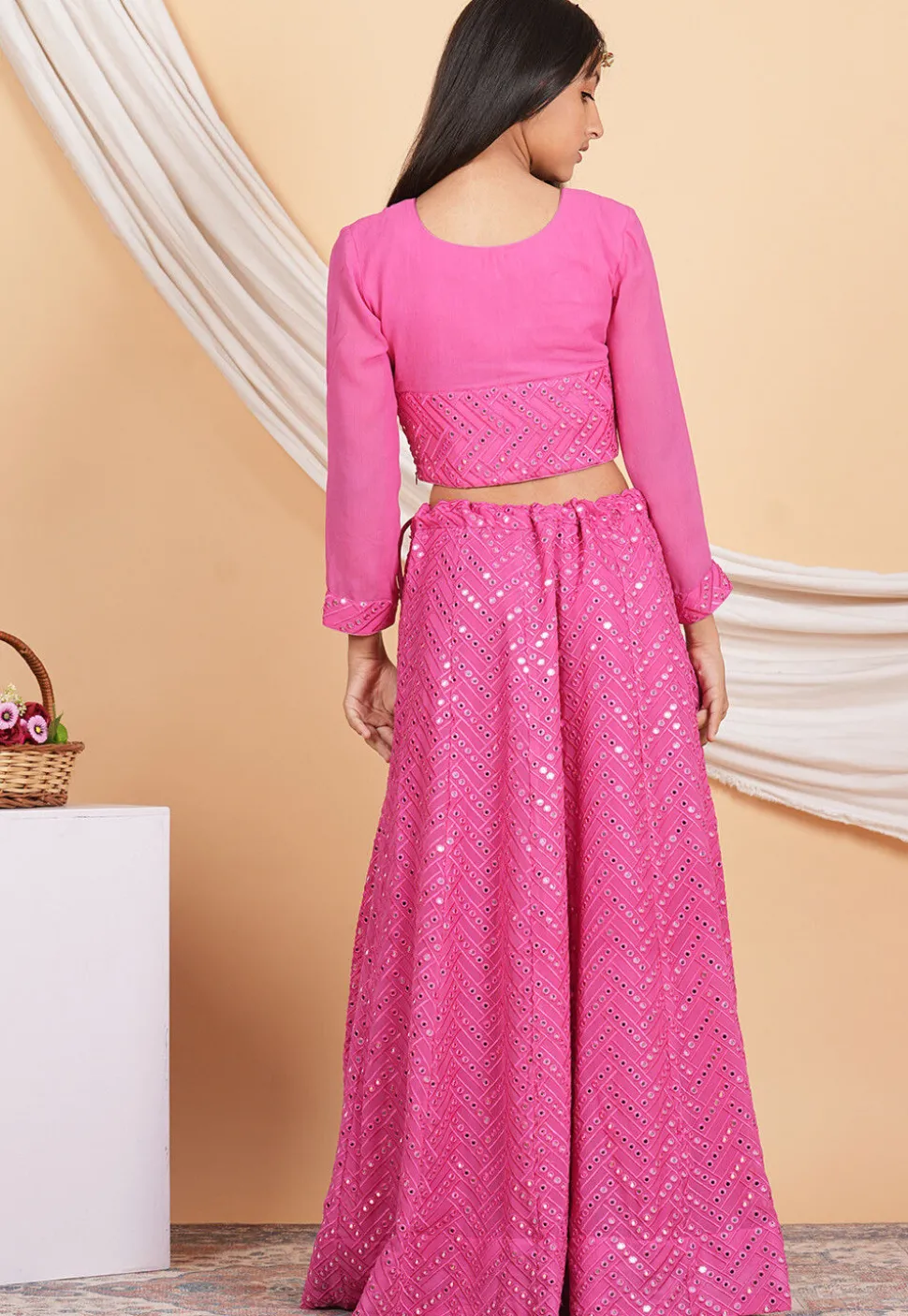 Embroidered Georgette Crop Top Set in Pink