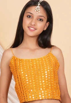 Embroidered Georgette Crop Top in Orange