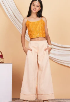 Embroidered Georgette Crop Top Set in Orange