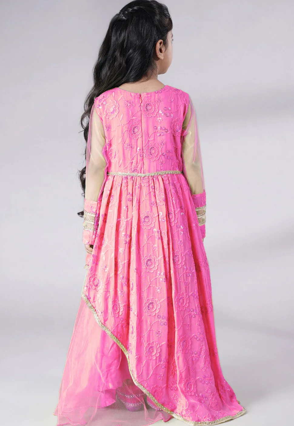 Embroidered Georgette Gown in Baby Pink