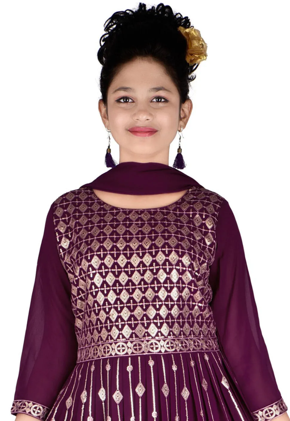 Embroidered Georgette Gown in Violet