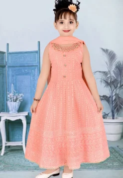 Embroidered Georgette Gown in Peach
