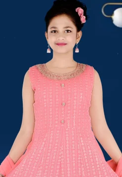 Embroidered Georgette Gown in Pink