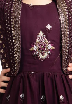 Embroidered Georgette Gown in Wine